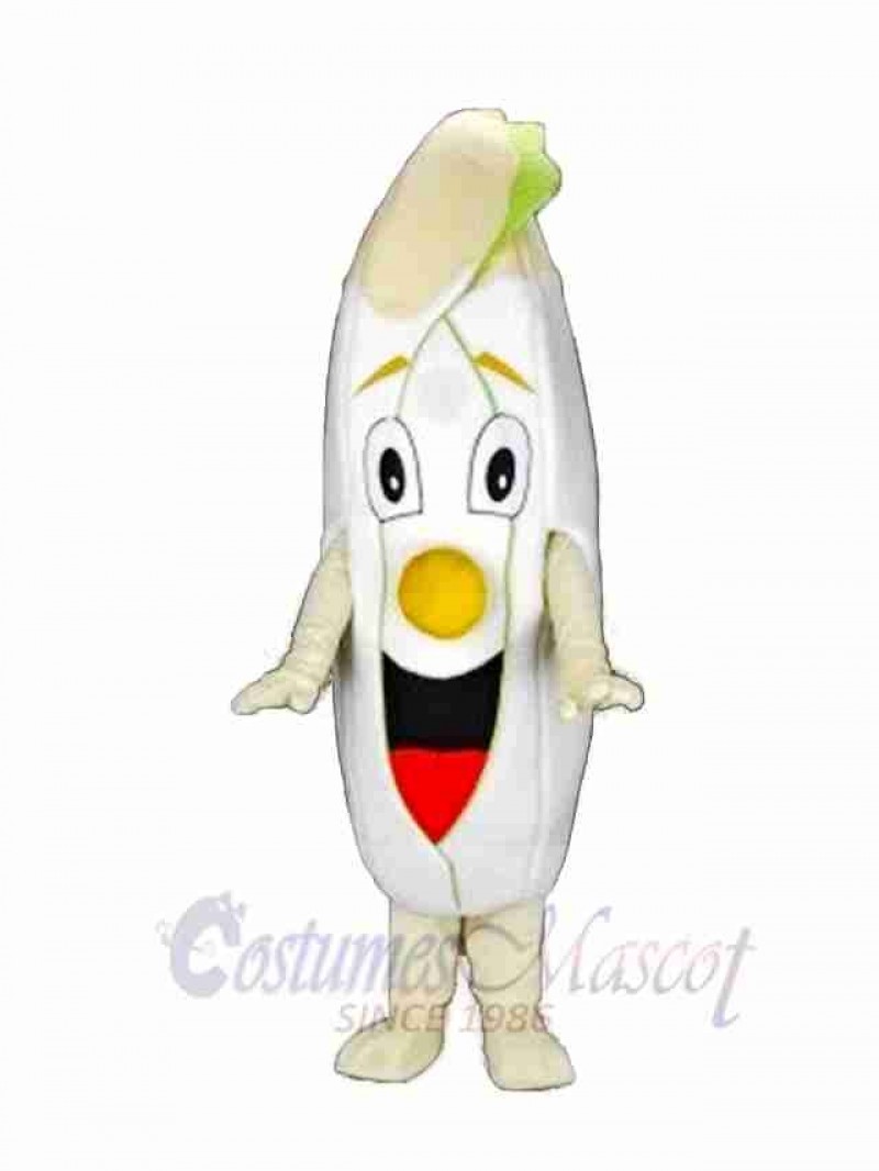 Chicory Salad Mascot Costume