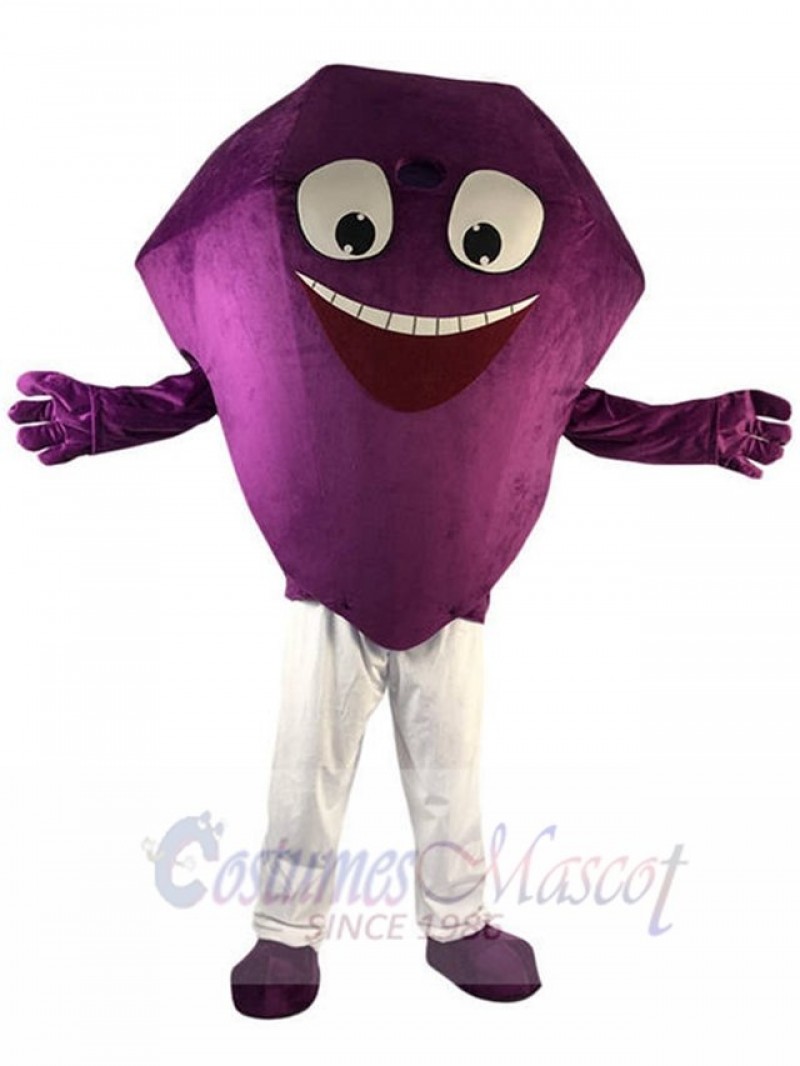 Diamond mascot costume