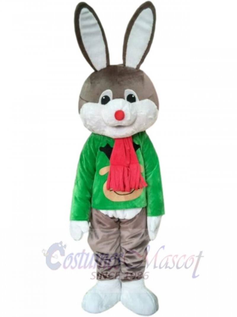 Bunny Rabbit mascot costume