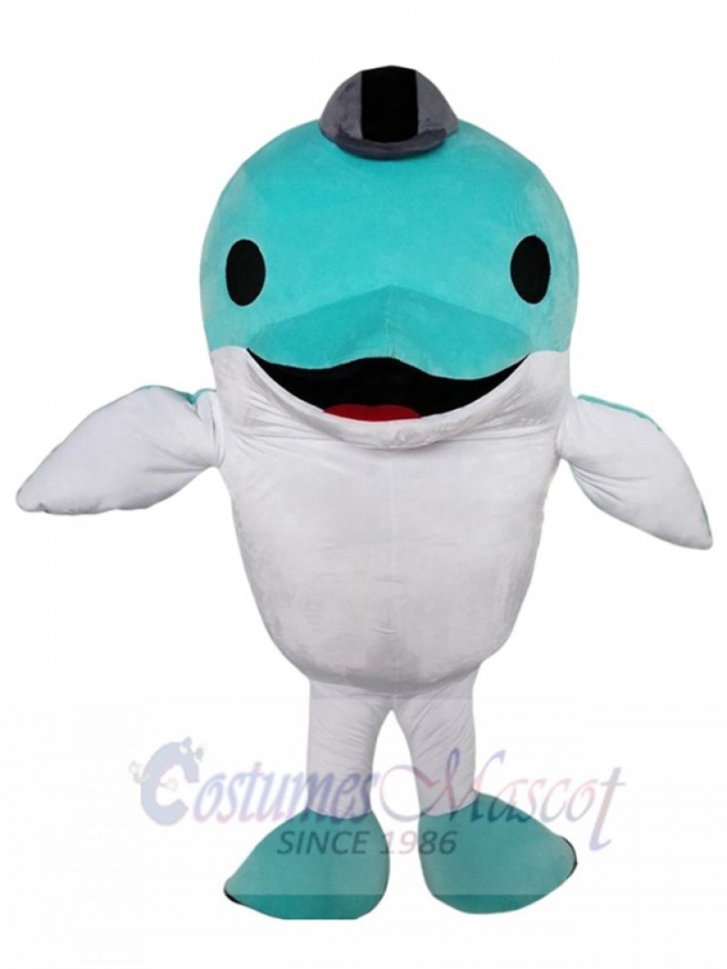 Dolphin mascot costume