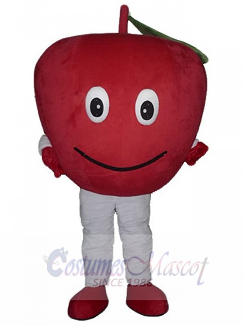 Apple Fruit mascot costume