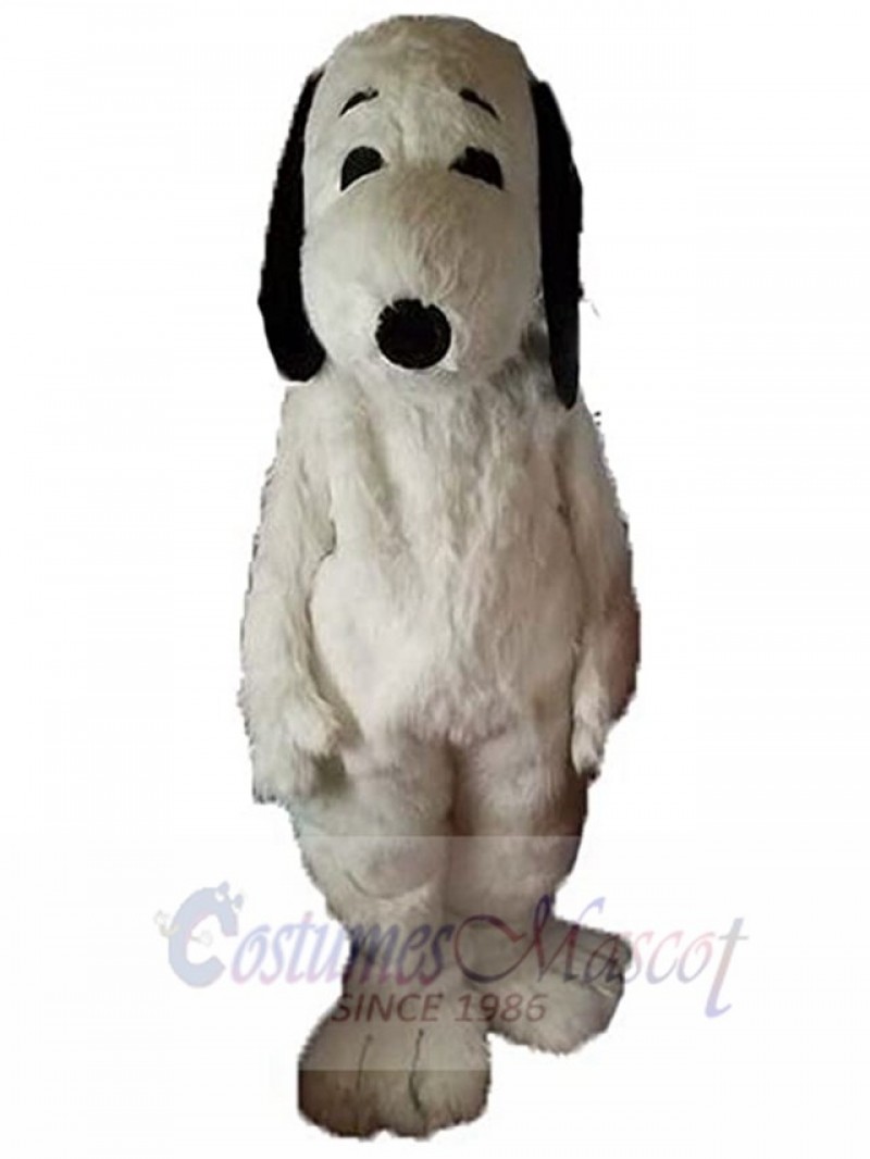 Dog mascot costume