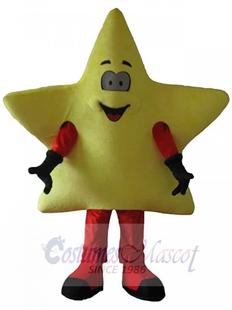 Star mascot costume