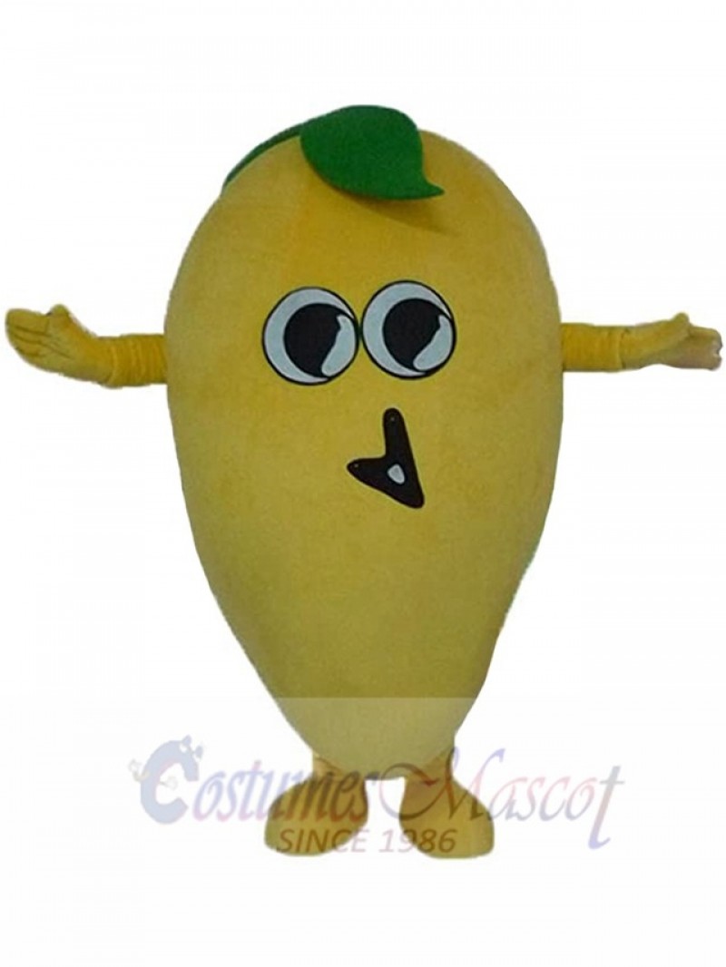 Mango mascot costume