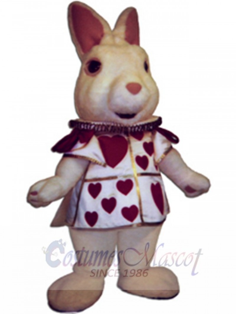 Bunny Rabbit mascot costume