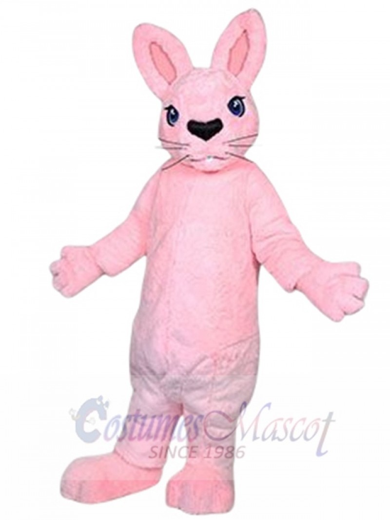 Bunny Rabbit mascot costume