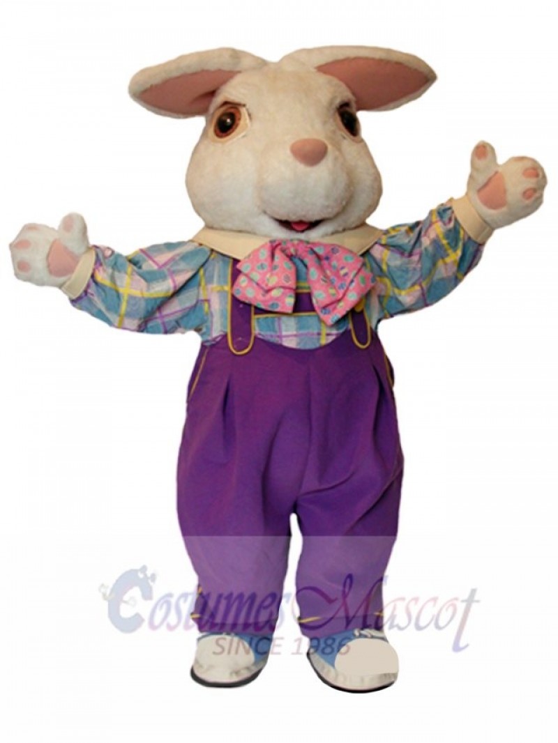 Easter Bunny Rabbit mascot costume