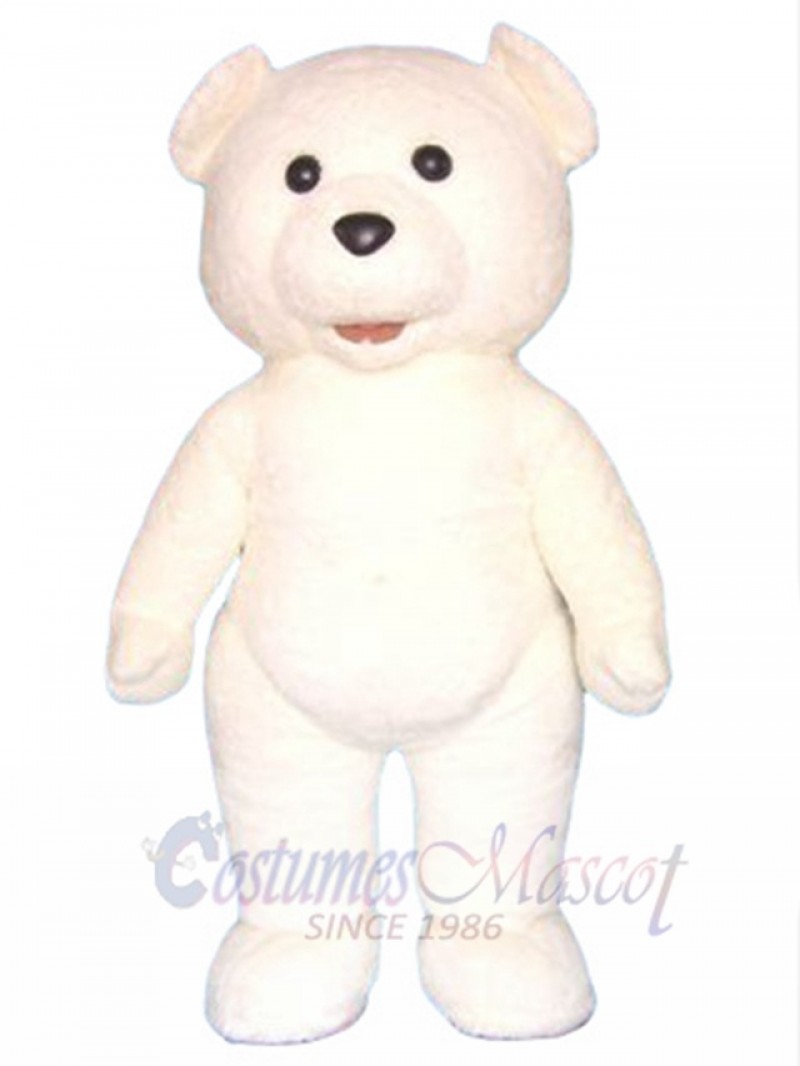 Teddy Bear mascot costume