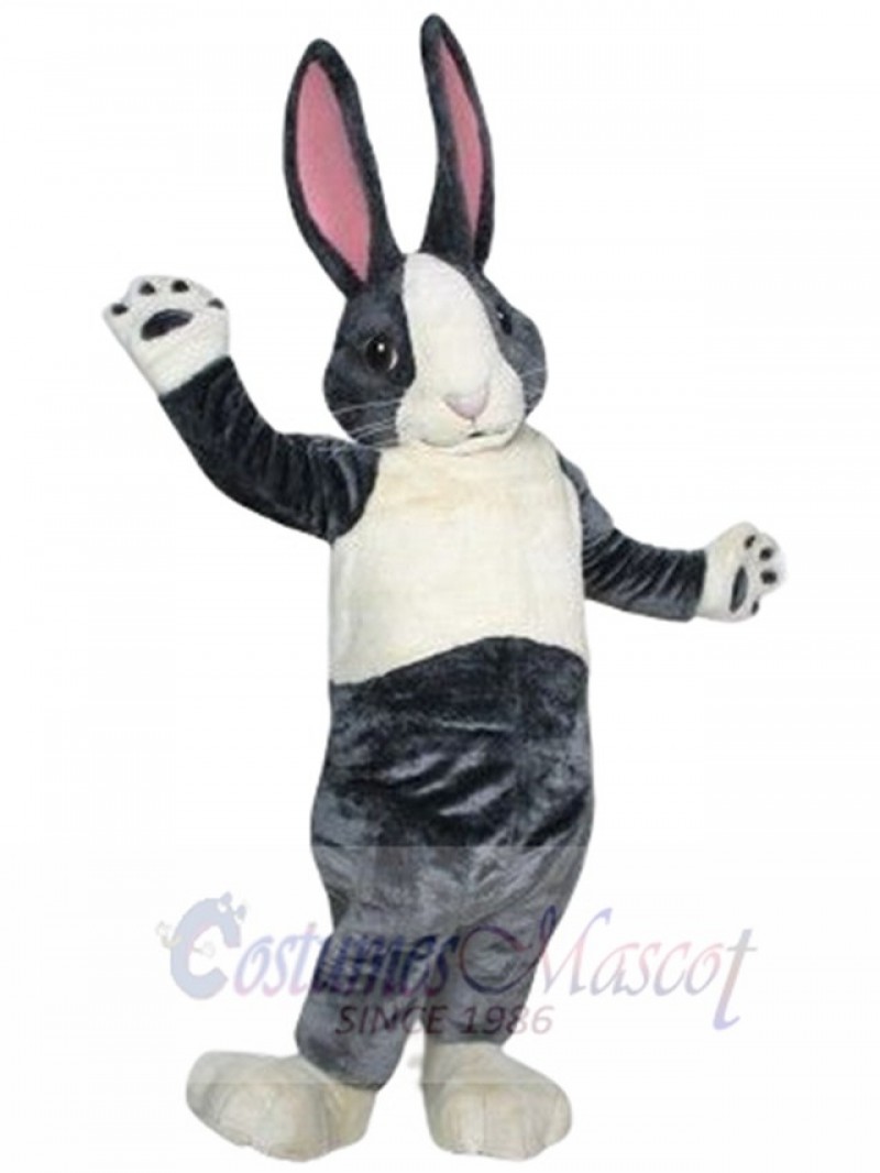 Bunny Rabbit mascot costume