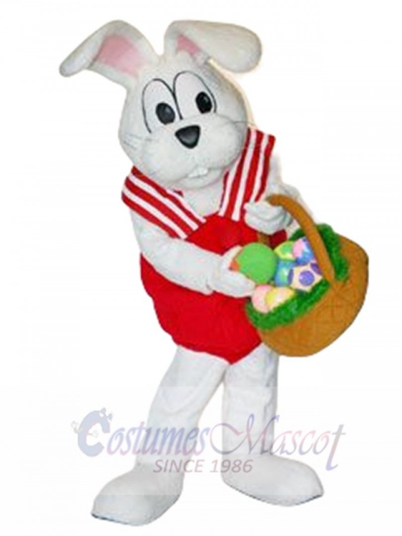 Peter Cottontail Rabbit mascot costume