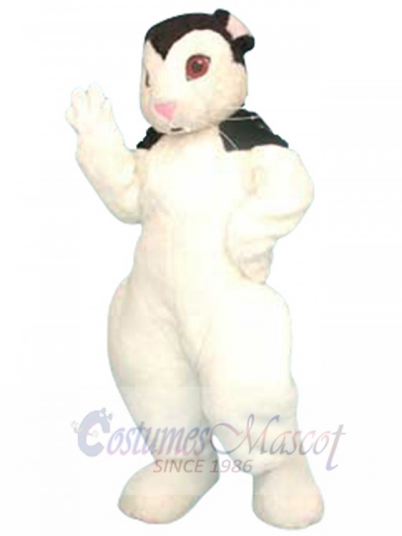 Bunnicula Rabbit mascot costume