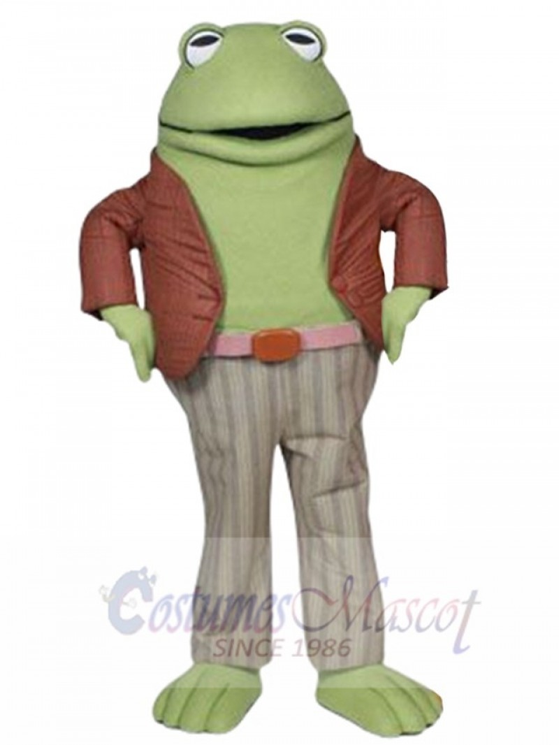 Frog mascot costume