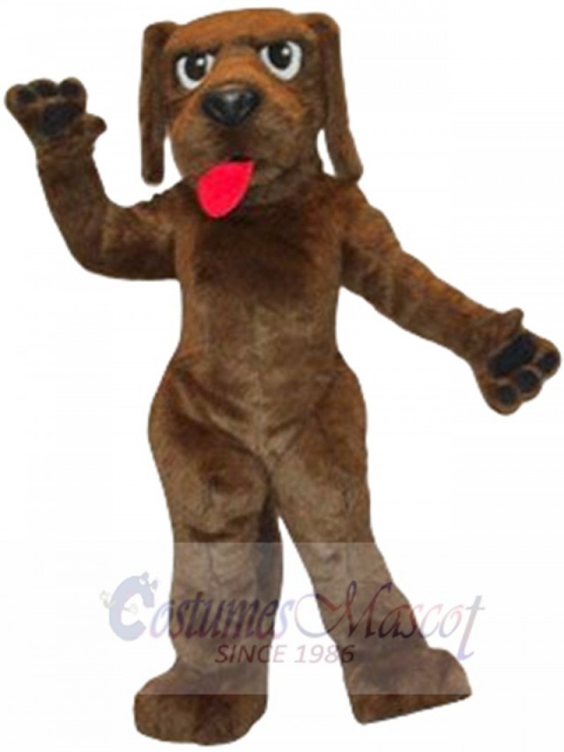 Hank Dog mascot costume