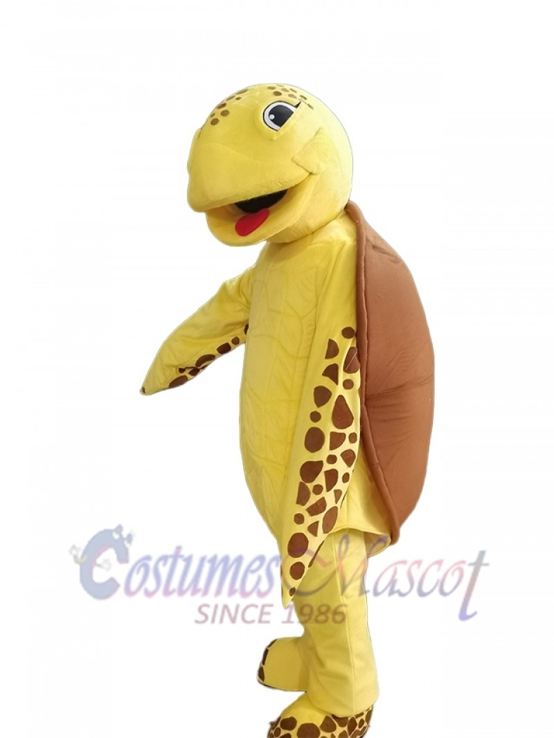 Turtle mascot costume