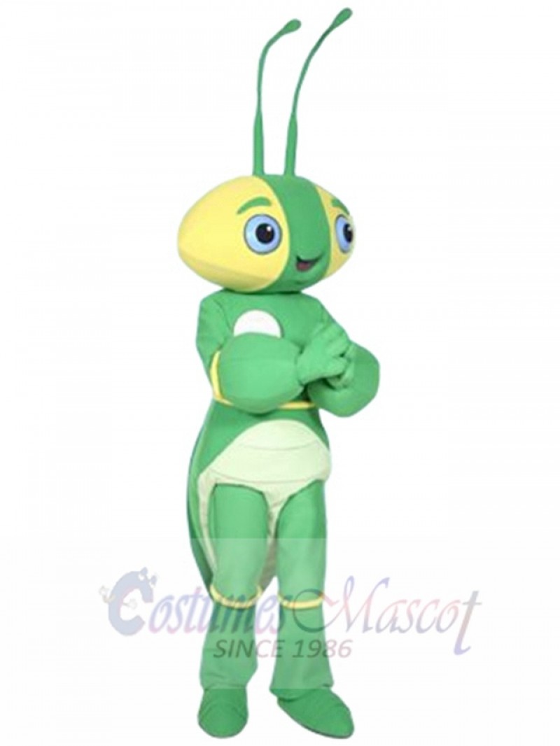 The Manty Mantis mascot costume