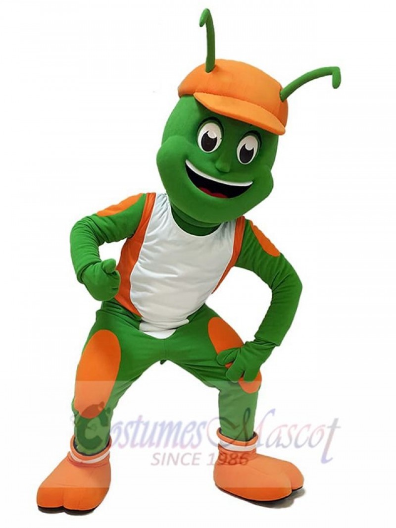 Insect mascot costume