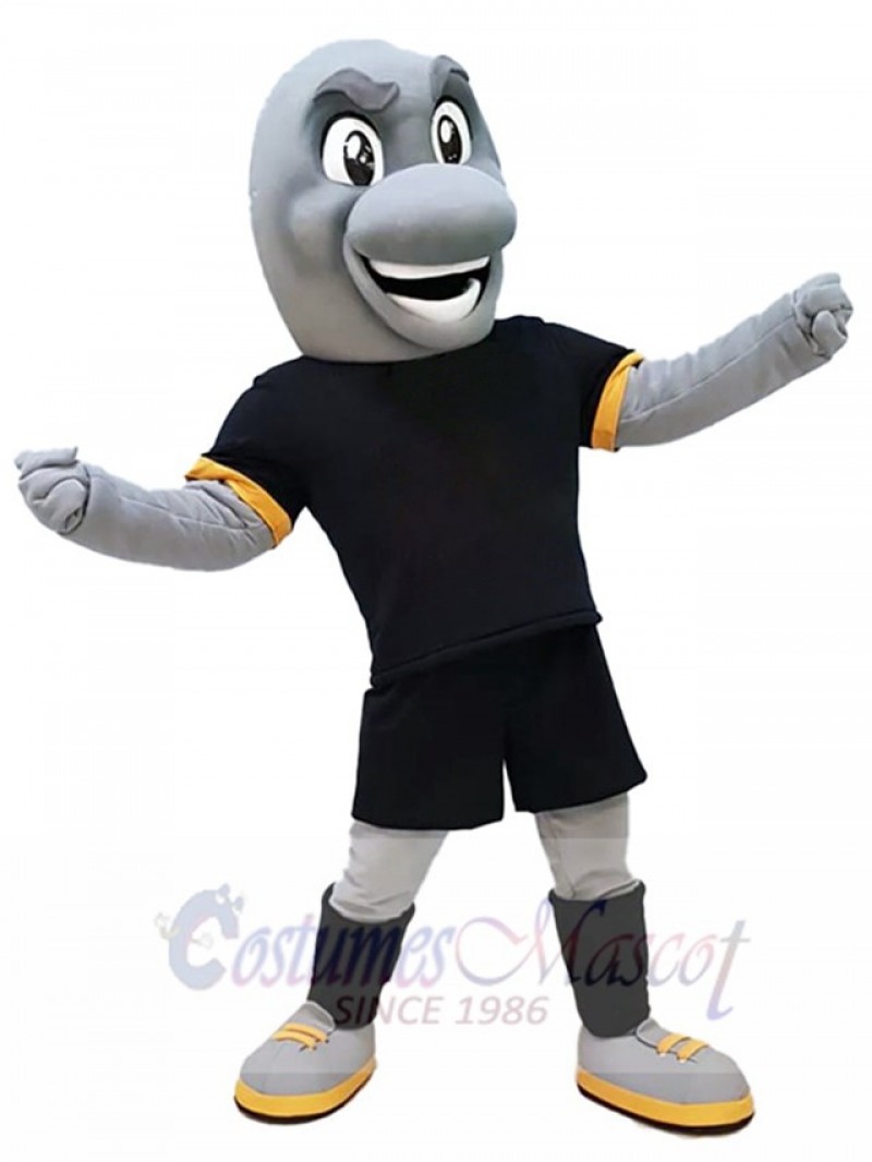 Dolphin mascot costume