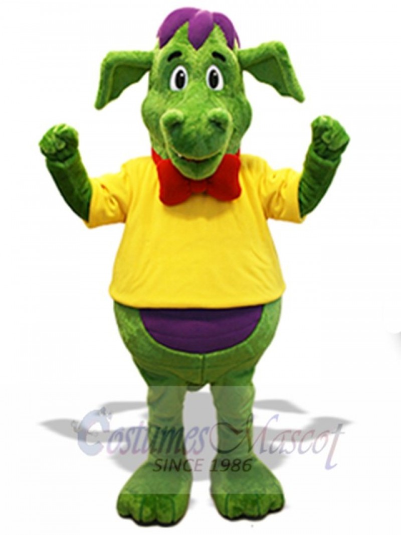 Dragon mascot costume