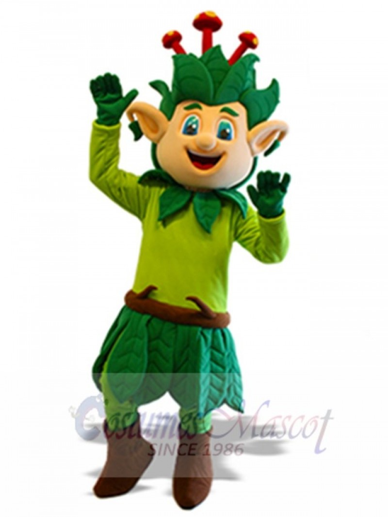 Elf mascot costume