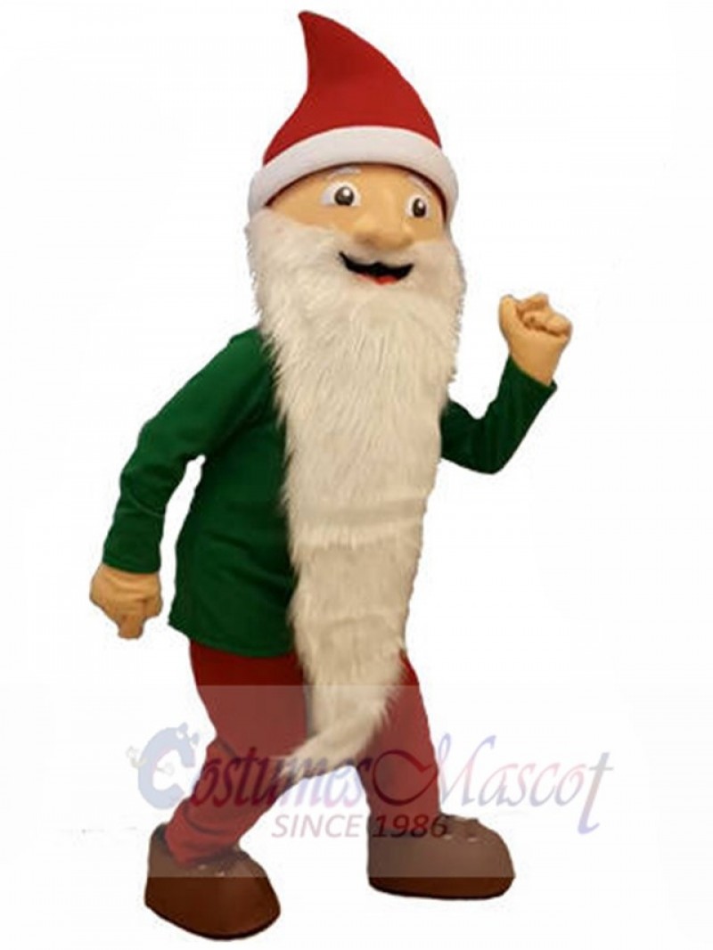 Dwarfs Elf mascot costume