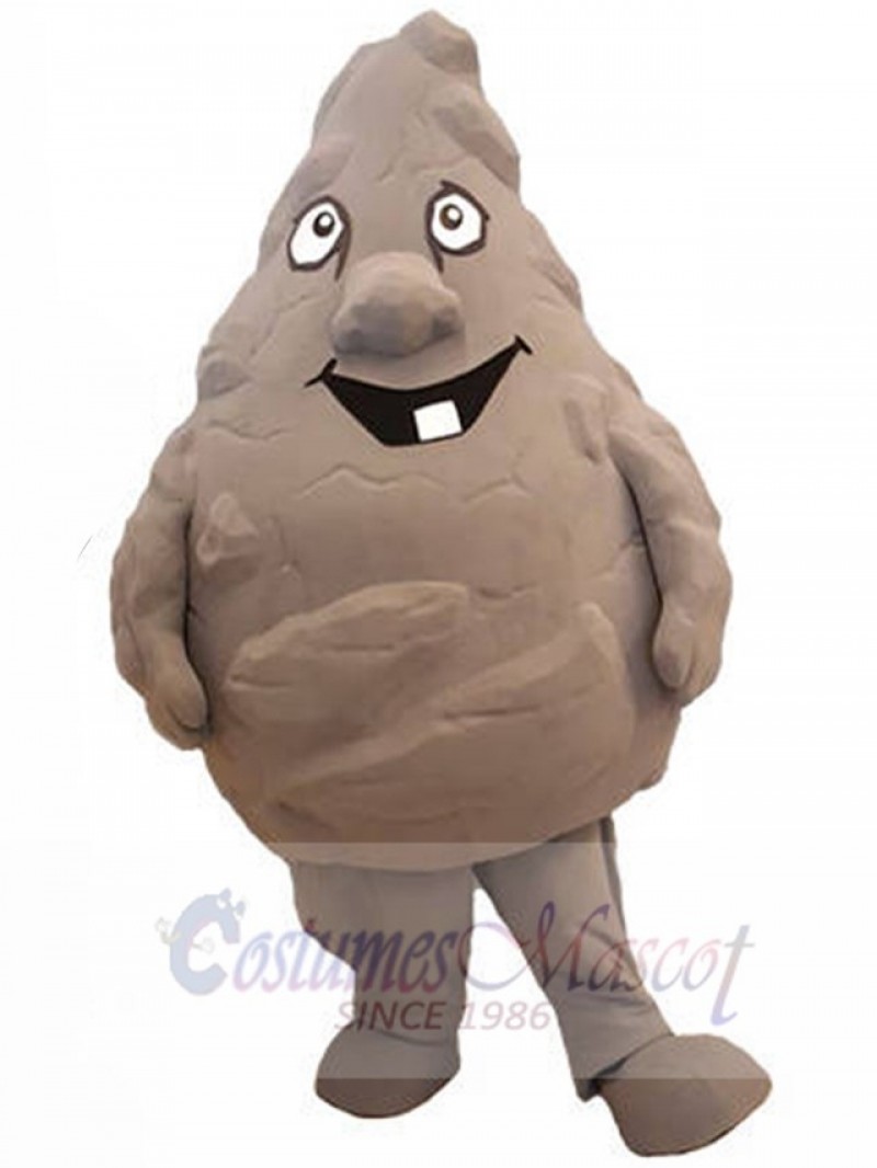 Rock Stone mascot costume