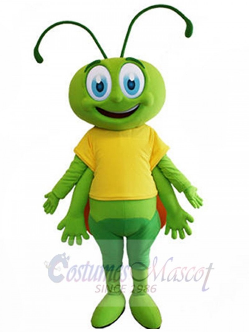 Bee mascot costume