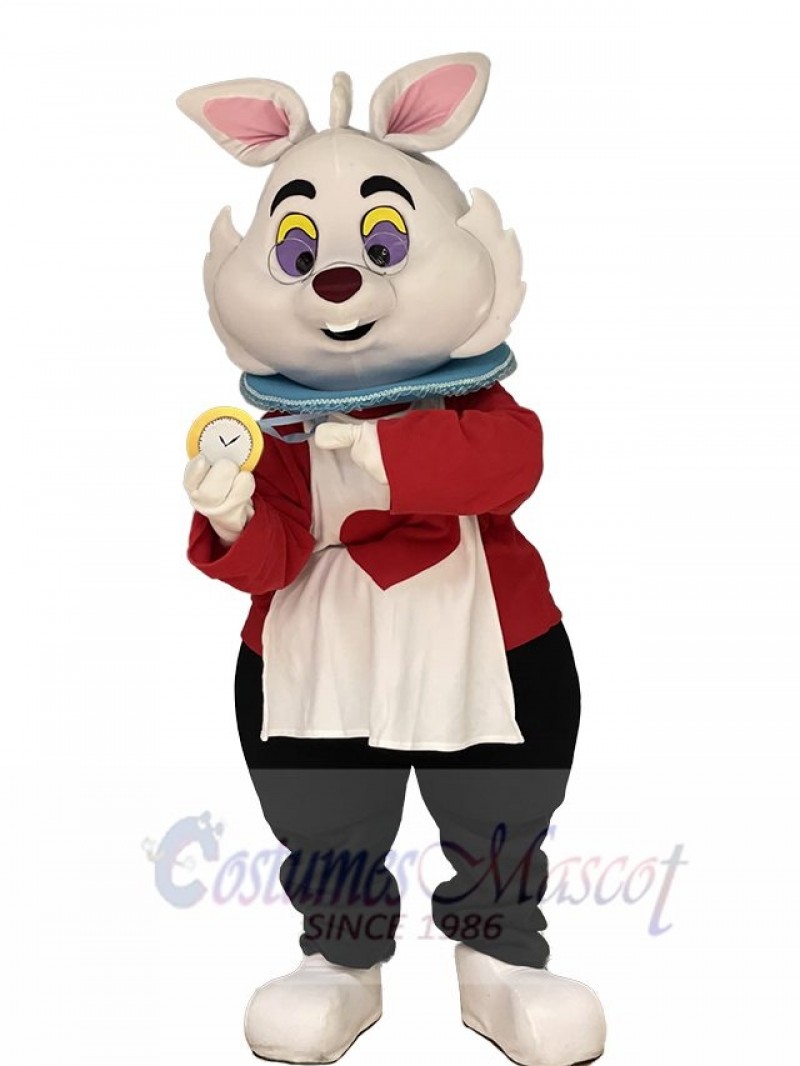 Rabbit mascot costume