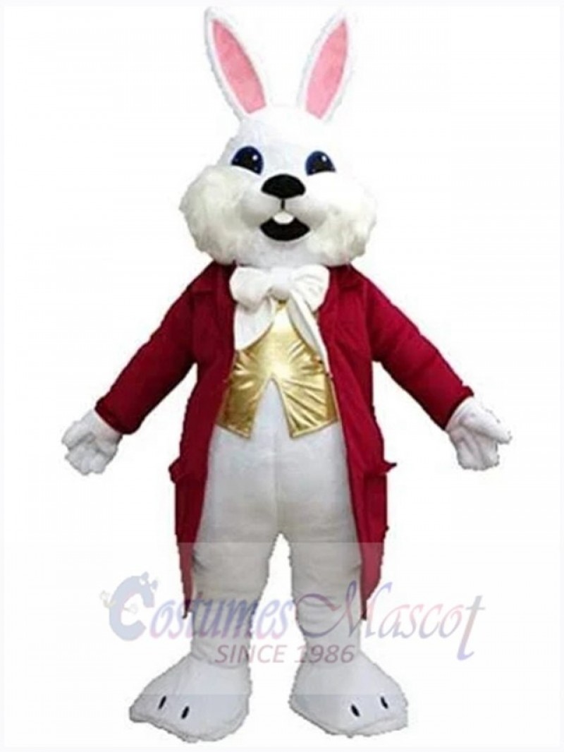 Easter Bunny Rabbit mascot costume