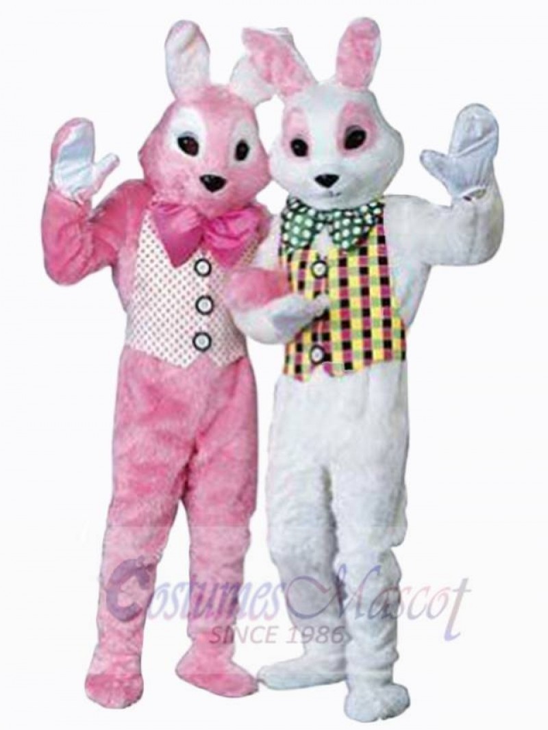 Easter Bunny Rabbit mascot costume