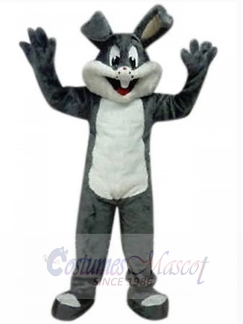 Easter Bunny Rabbit mascot costume