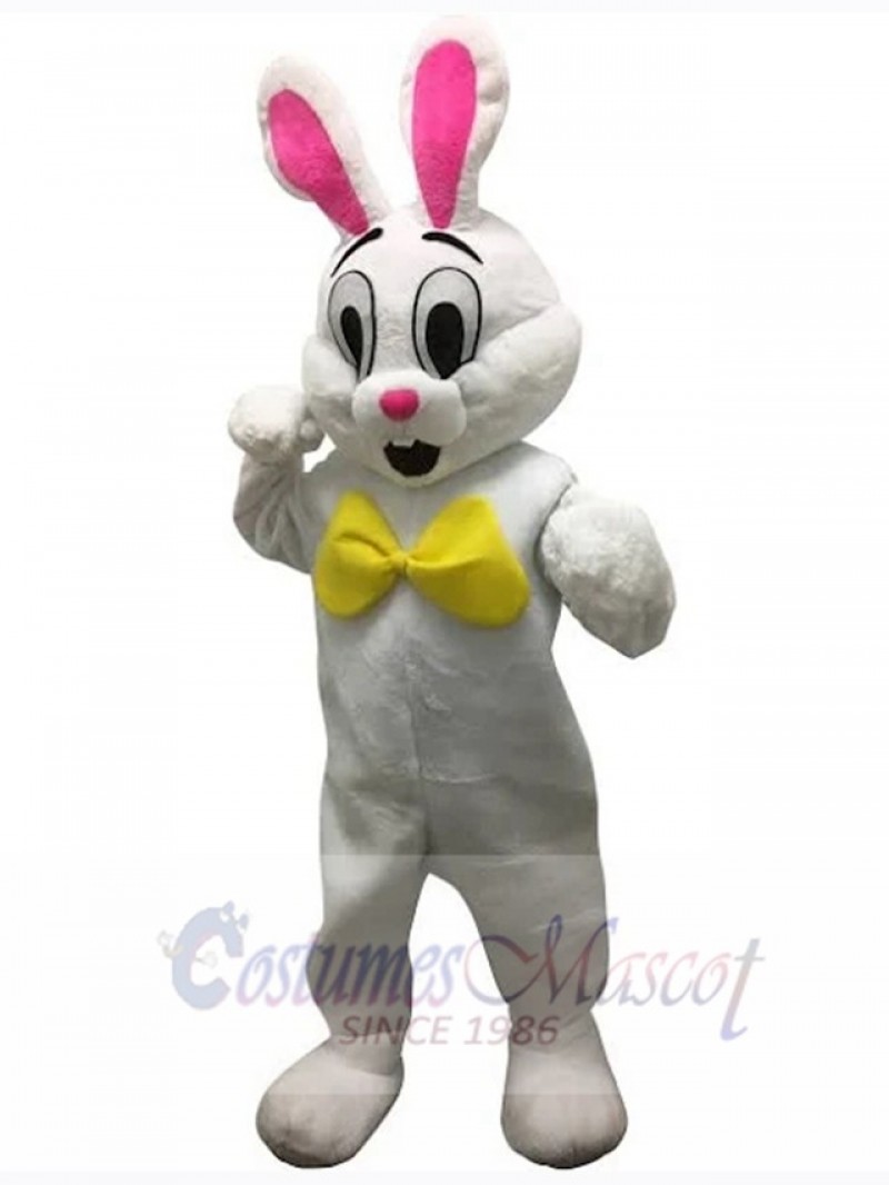 Easter Bunny Rabbit mascot costume