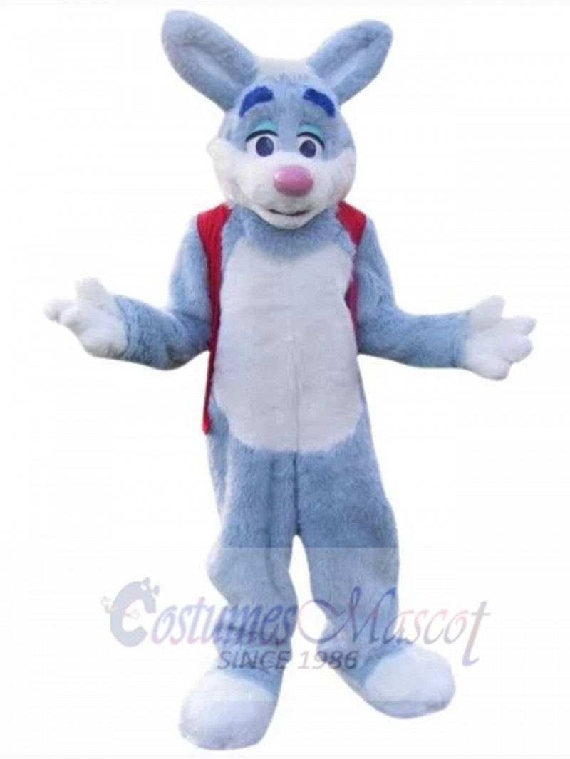 Easter Bunny Rabbit mascot costume