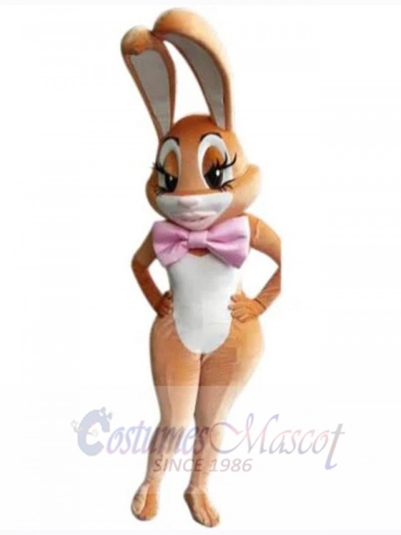 Easter Bunny Rabbit mascot costume