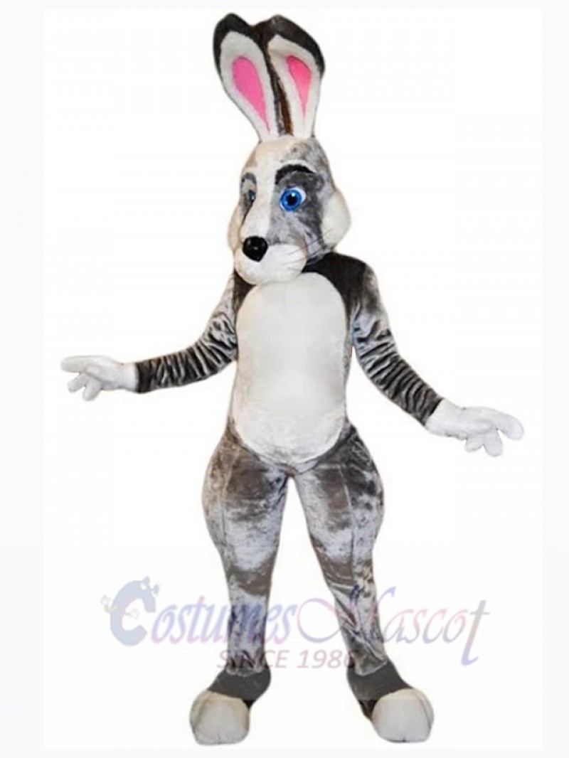 Easter Bunny Rabbit mascot costume