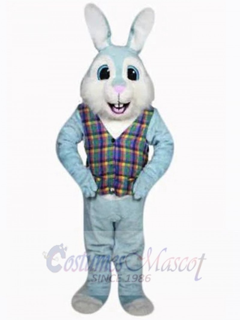 Easter Bunny Rabbit mascot costume