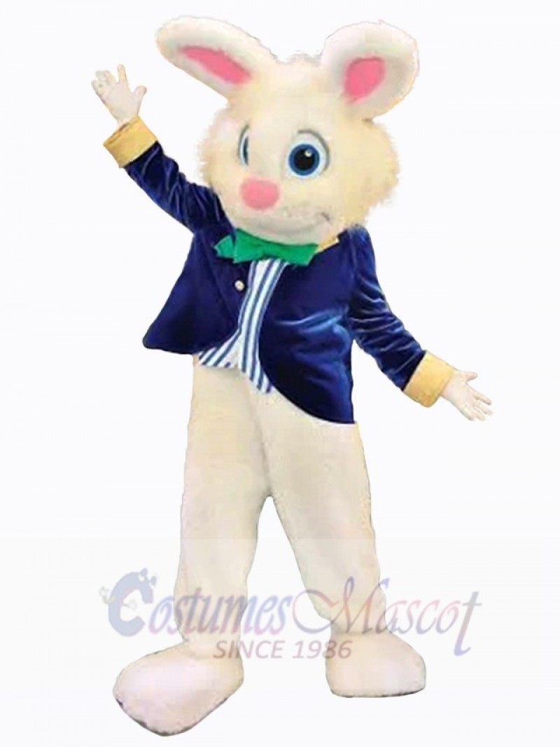 Easter Bunny Rabbit mascot costume