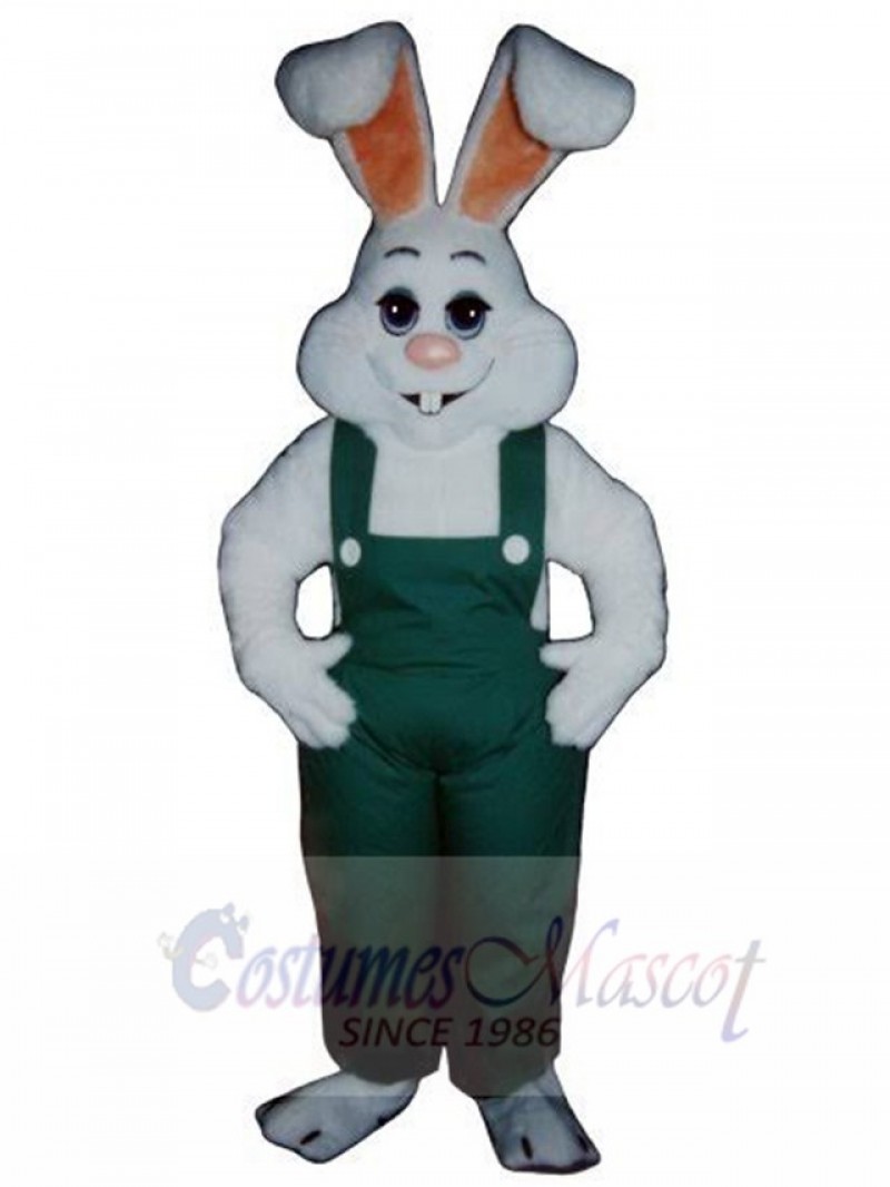 Easter Bunny Rabbit mascot costume
