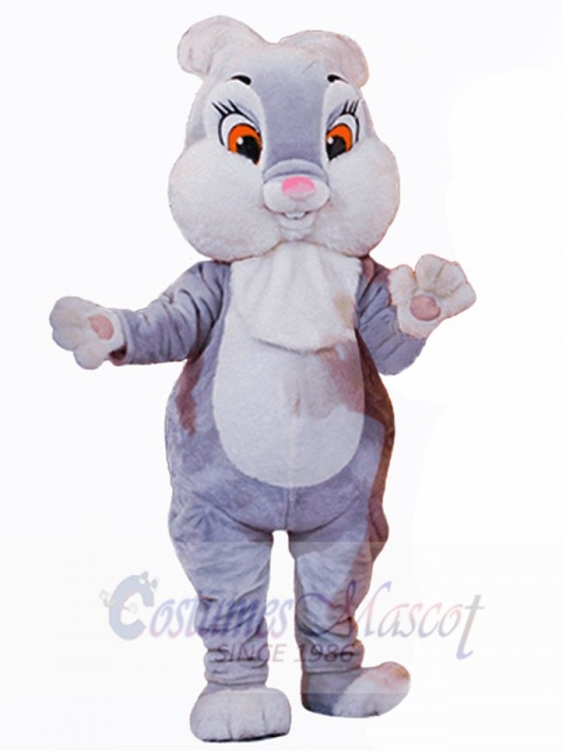 Easter Bunny Rabbit mascot costume