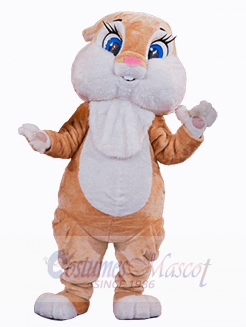 Easter Bunny Rabbit mascot costume