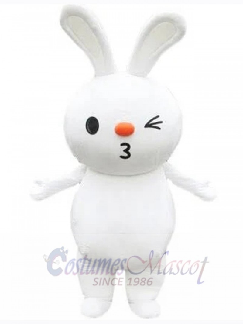 Easter Bunny Rabbit mascot costume