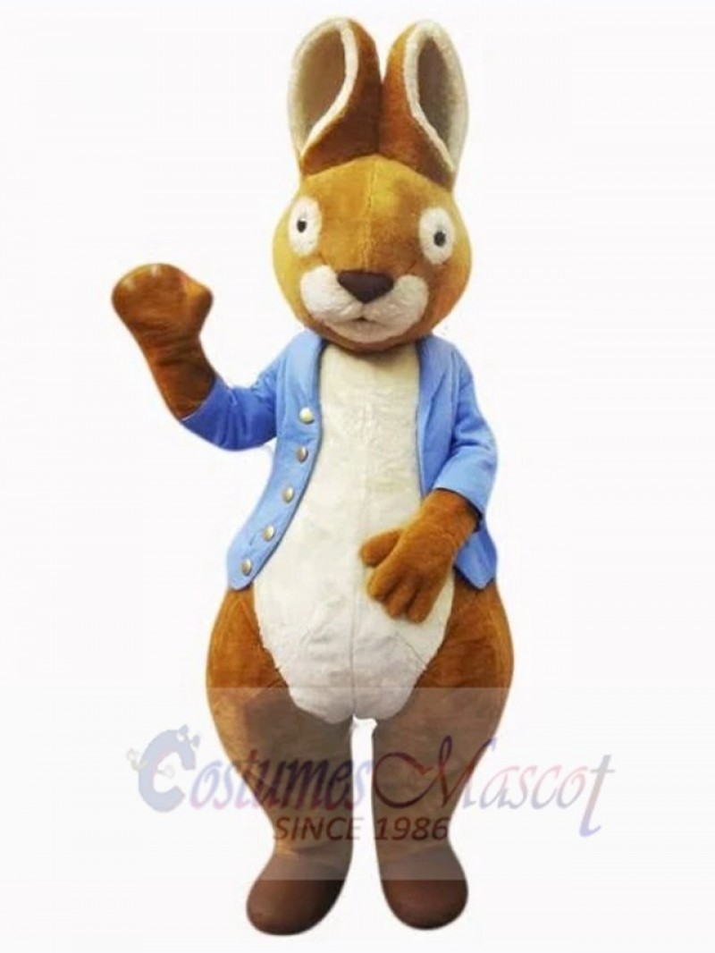 Easter Bunny Rabbit mascot costume