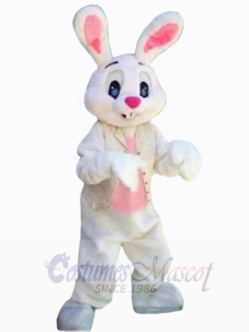 Easter Bunny Rabbit mascot costume