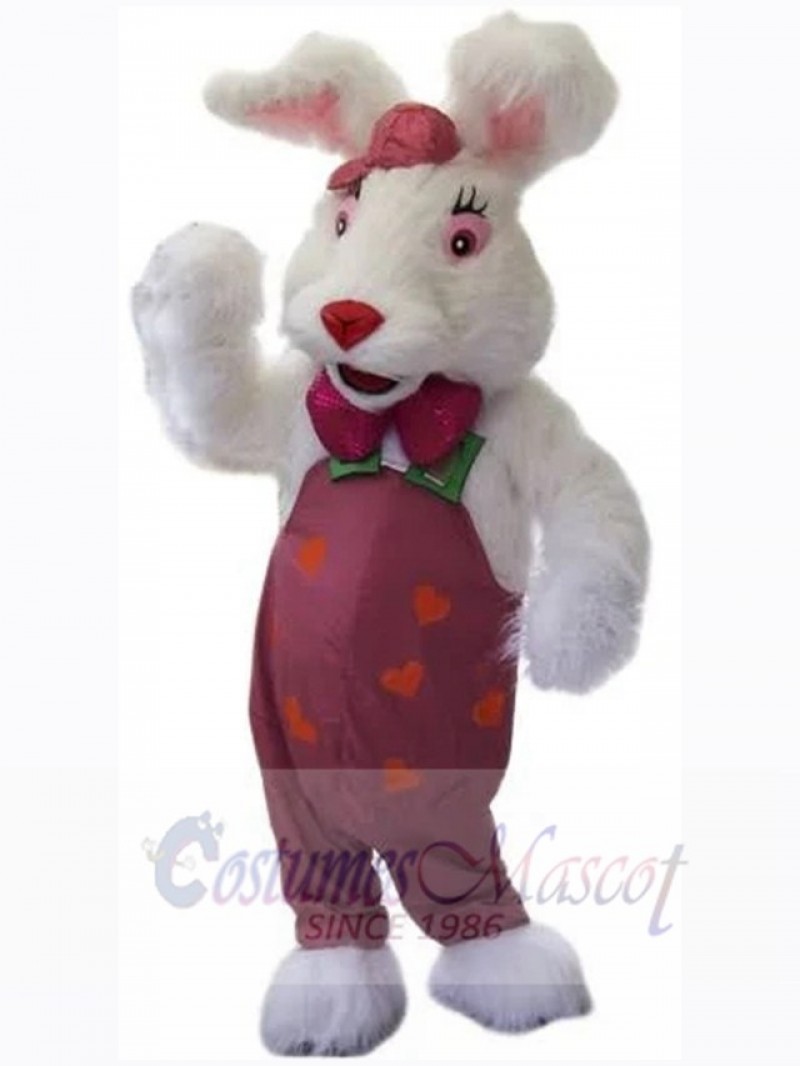 Easter Bunny Rabbit mascot costume