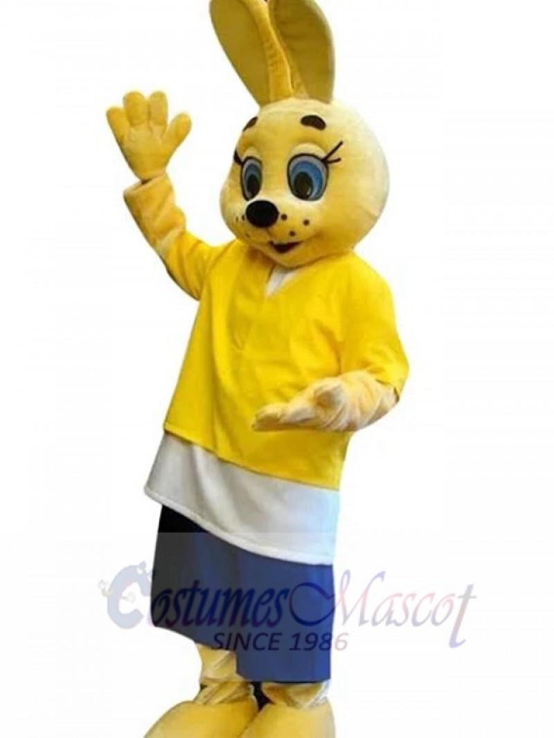 Easter Bunny Rabbit mascot costume