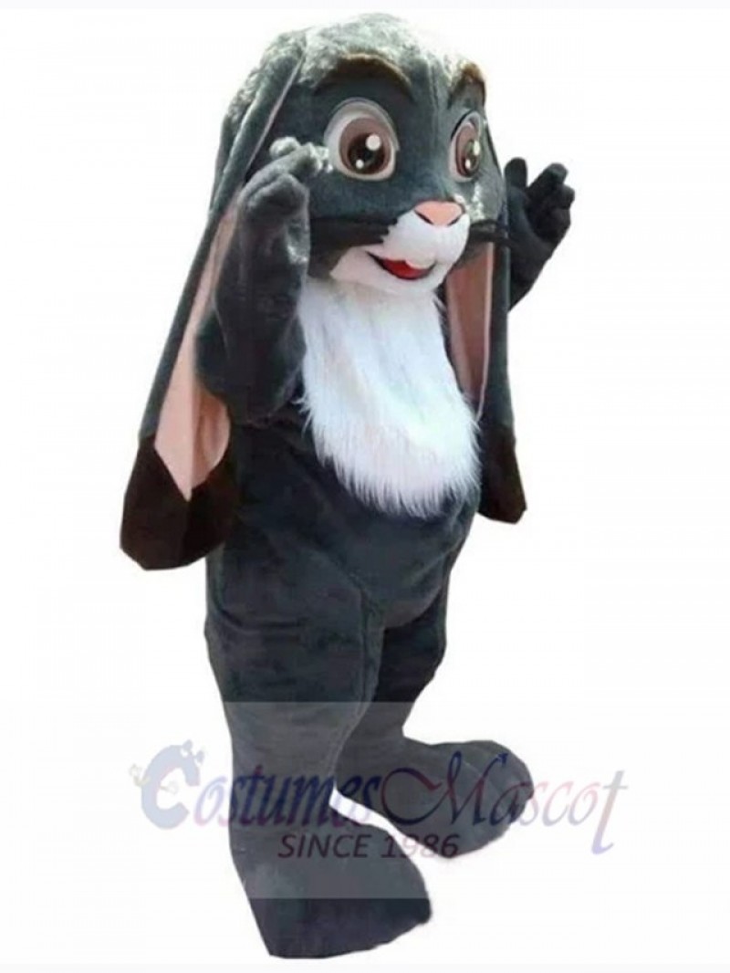 Easter Bunny Rabbit mascot costume