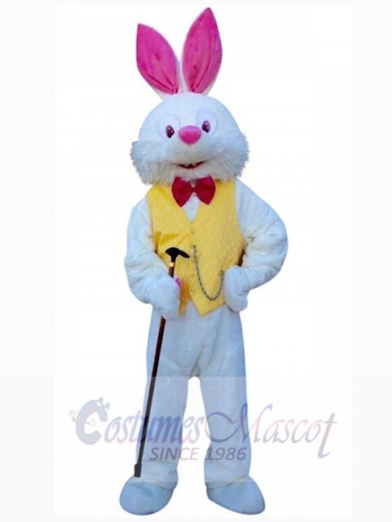 Easter Bunny Rabbit mascot costume