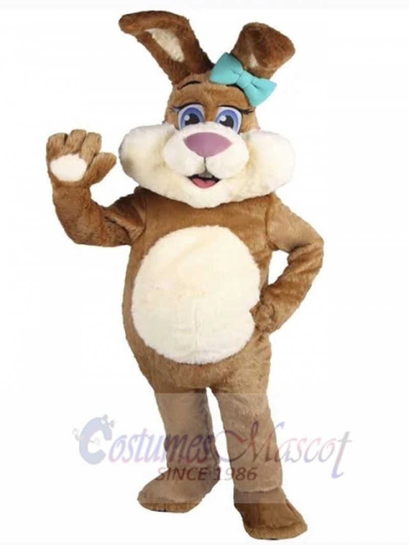 Easter Bunny Rabbit mascot costume