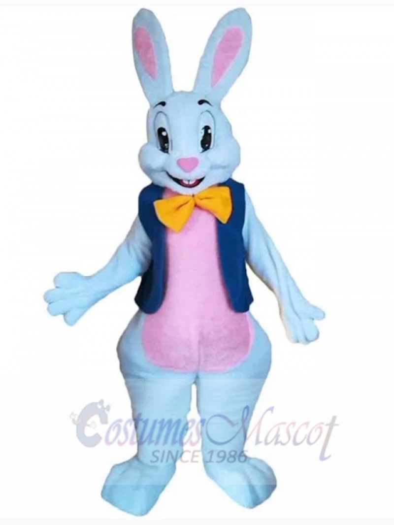Easter Bunny Rabbit mascot costume