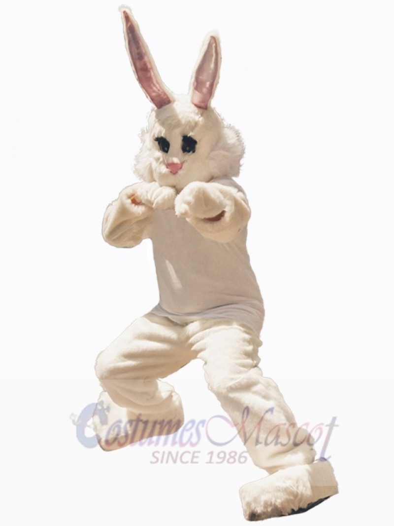 Easter Bunny Rabbit mascot costume