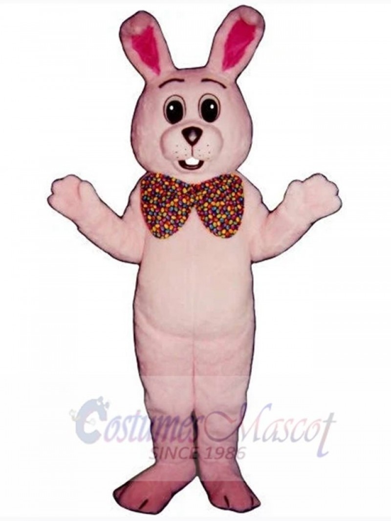 Easter Bunny Rabbit mascot costume